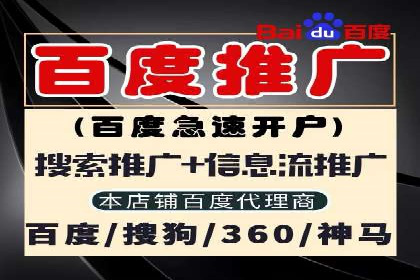 竞价排名优化策略案例分析